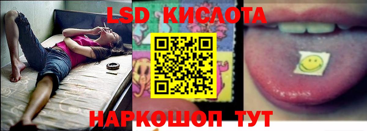 Лсд 25 экстази ecstasy  LSD-25 экстази ecstasy  Курчалой  Вход с VPN 