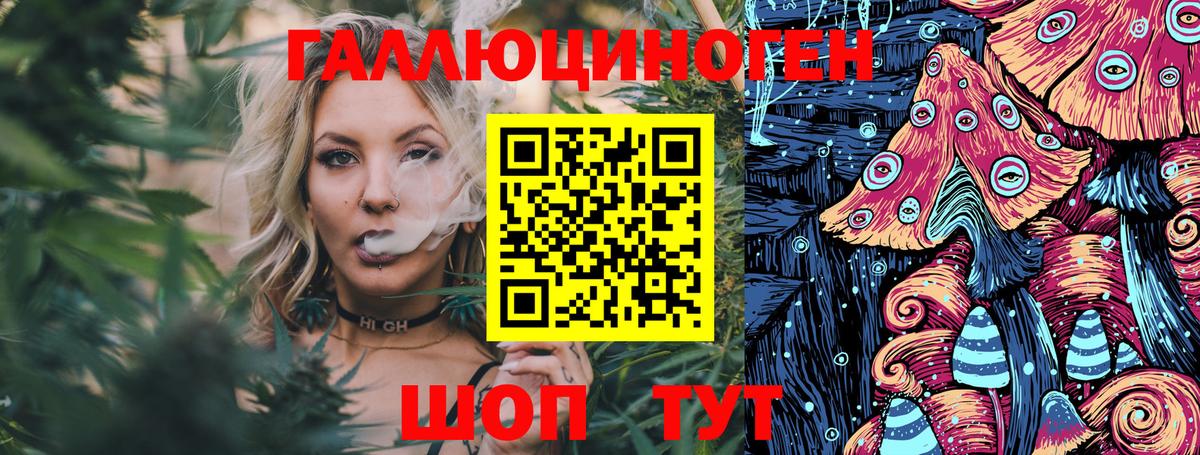 Галлюциногенные грибы ЛСД  Галлюциногенные грибы Psilocybine cubensis  Курчалой  Вход с VPN 