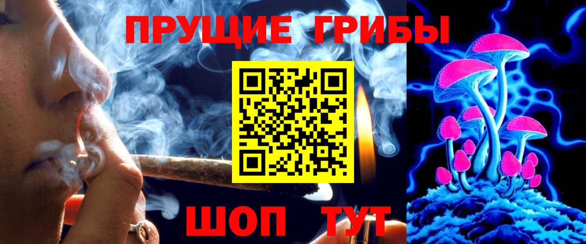 Галлюциногенные грибы MAGIC MUSHROOMS Курчалой
