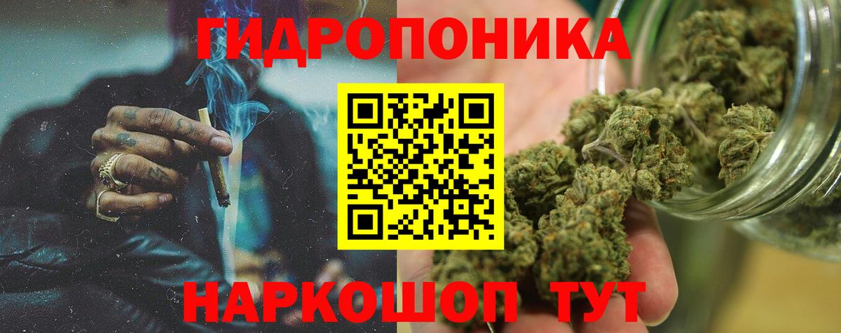 Курчалой  Каннабис Ganja  Вход с VPN  Шишки марихуана марихуана  МАРИХУАНА Amnesia 